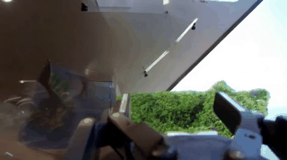 GIF Image
